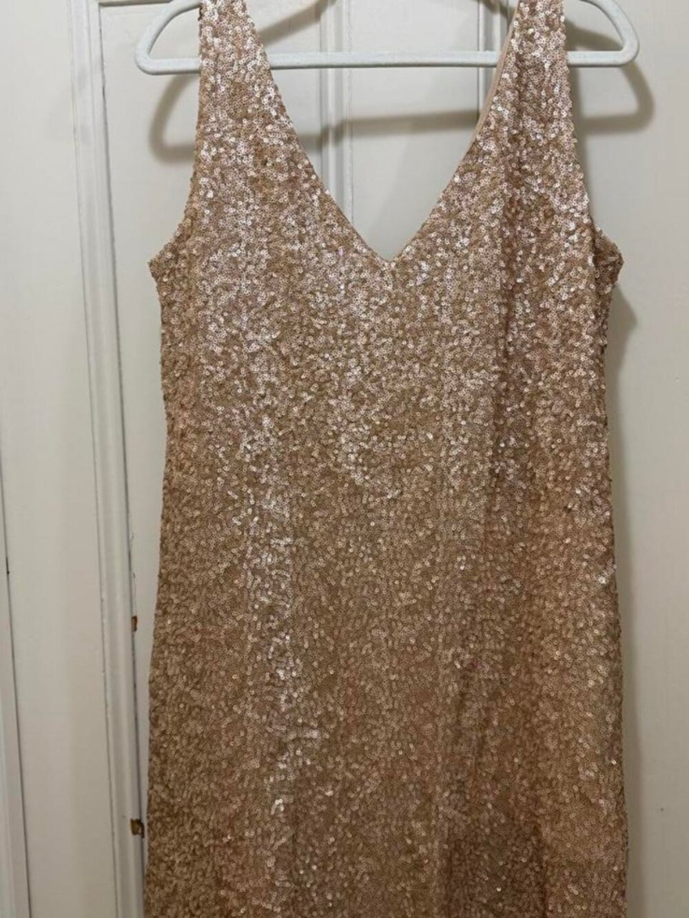 Zara Champagne Sequin Mini Dress — M